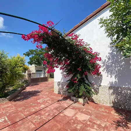 Elga Carob Holidays House By Hlclub Agency Vilanova i la Geltru